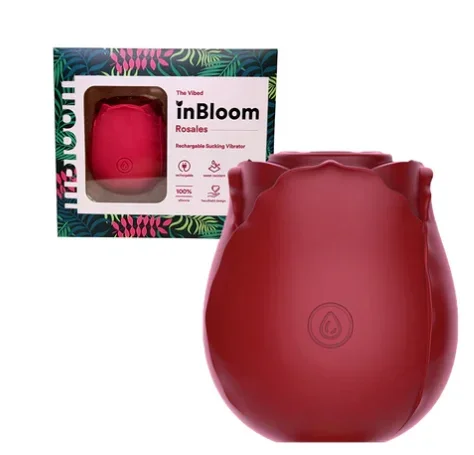 BDSM For Beginners 5 Pack Bundle