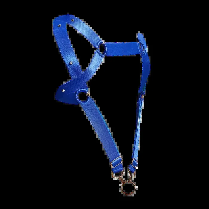Male Basics Dngeon Leather Straight Back Harness w Penis Ring Blue Mirror One Size