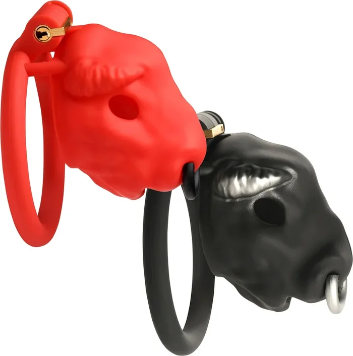 Master Series Bull Chastity Cage With 4 Gradually Sized Rings