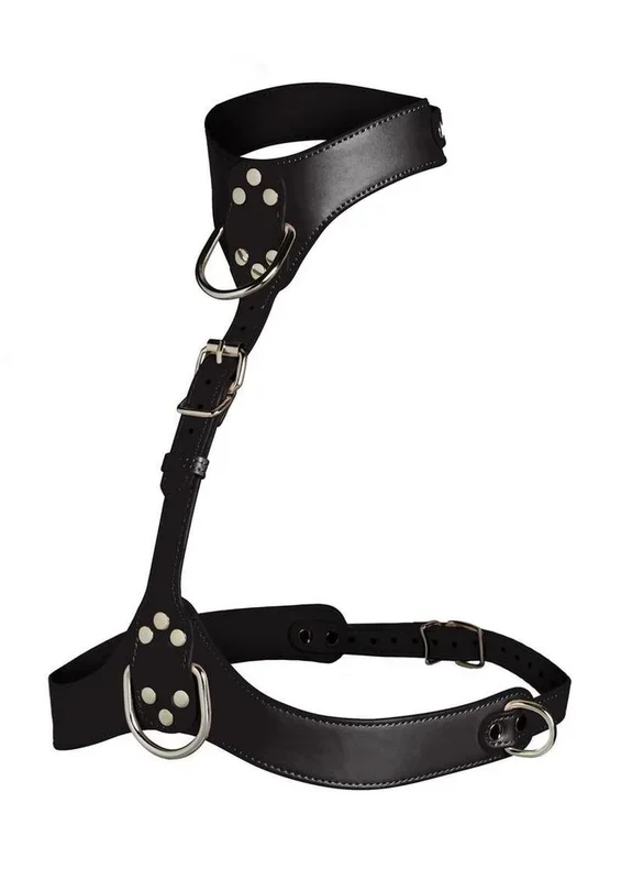 Master Series Vixen Female Chest Vegan Leather Harness