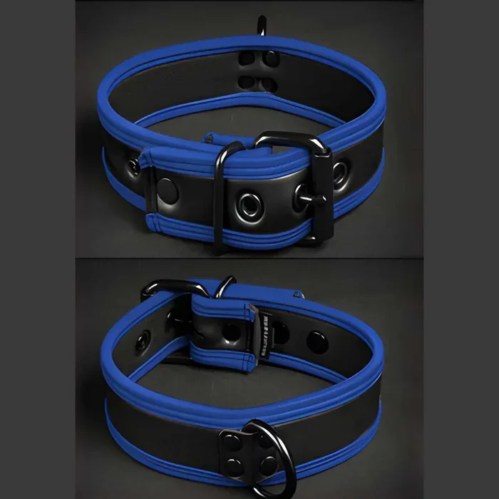 Mr S Leather Neoprene Puppy Collar Black Blue