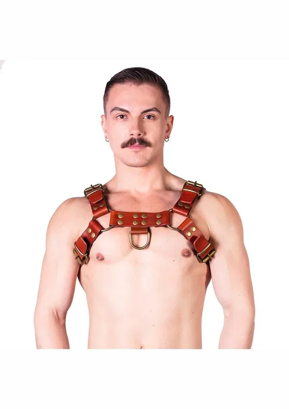 Prowler Red Butch Harness – Small – Brown/Brass