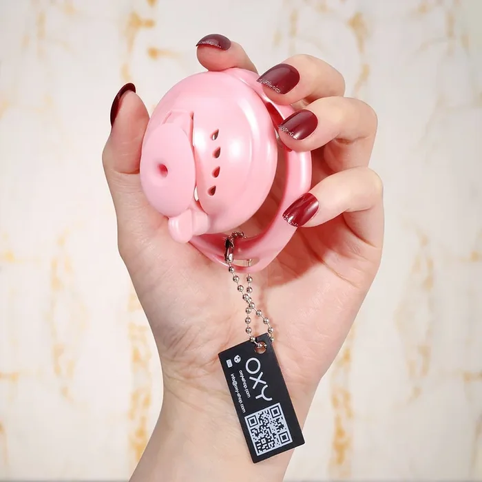 Punch Vagina Chastity cage – Harness friendly & singular lock system