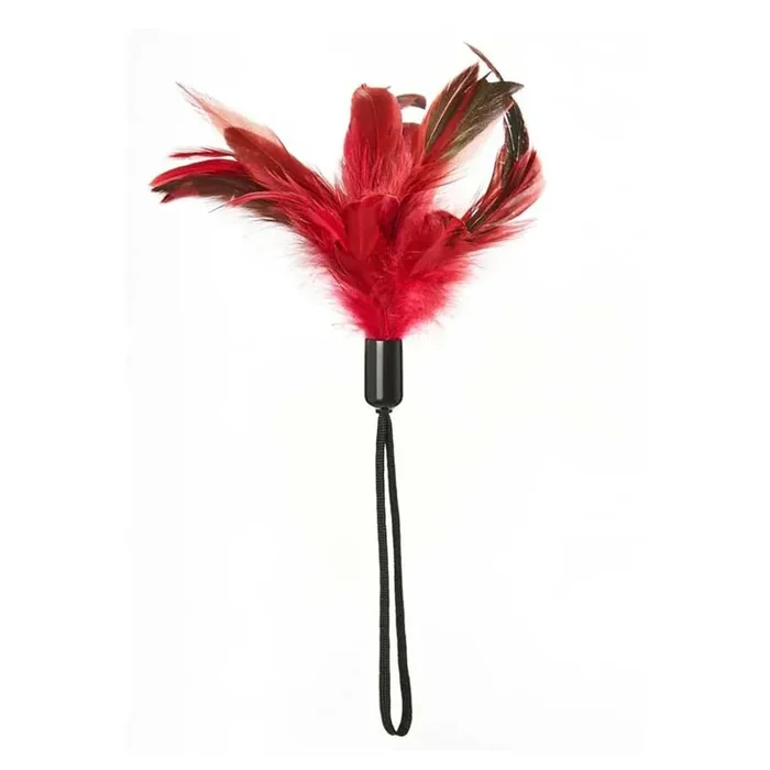 Sportsheets Pleasure Feather