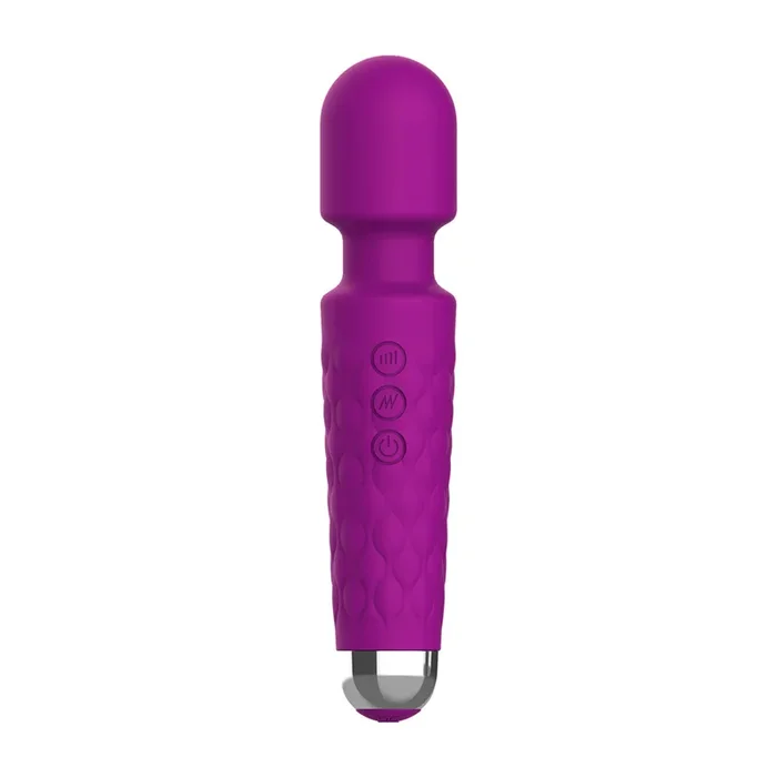 Winyi Pro Joy Wand Massager – Purple