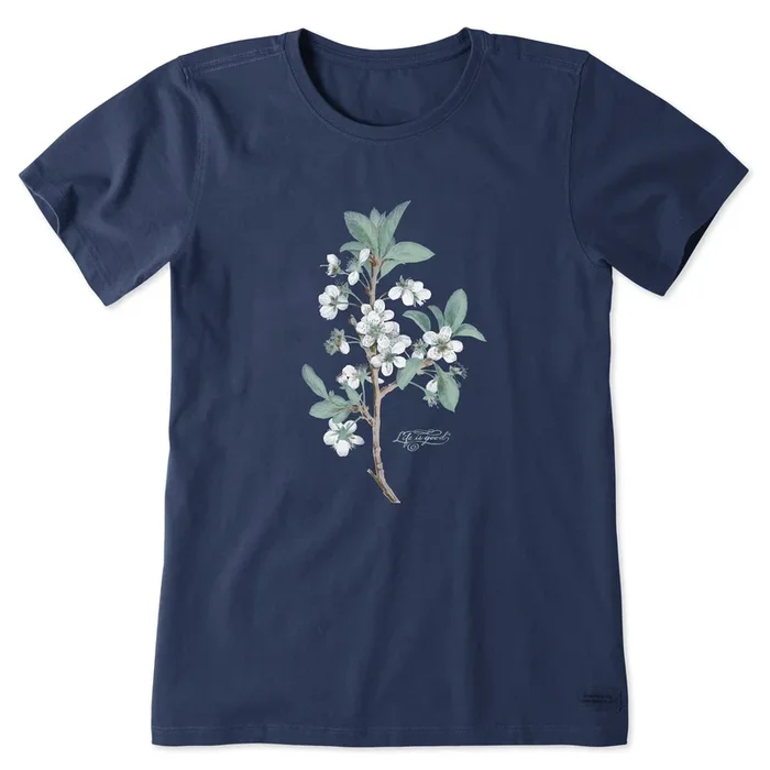 Women’s Antique Plum Blossom Painting Short Sleeve Tee