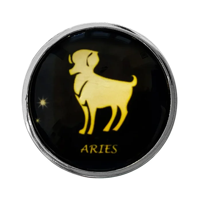Zodiac Stainless Butt Plug